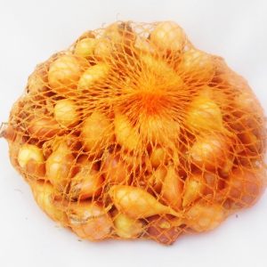 Cibuľa sadz. 500g všetana 8-21mm