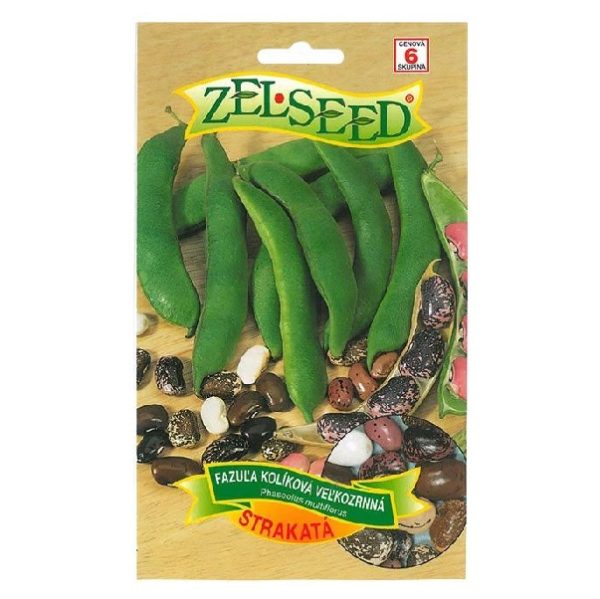Z fazula strakatá 6