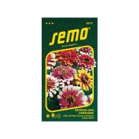 cinie 005374