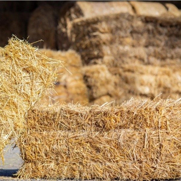 slama 120l.